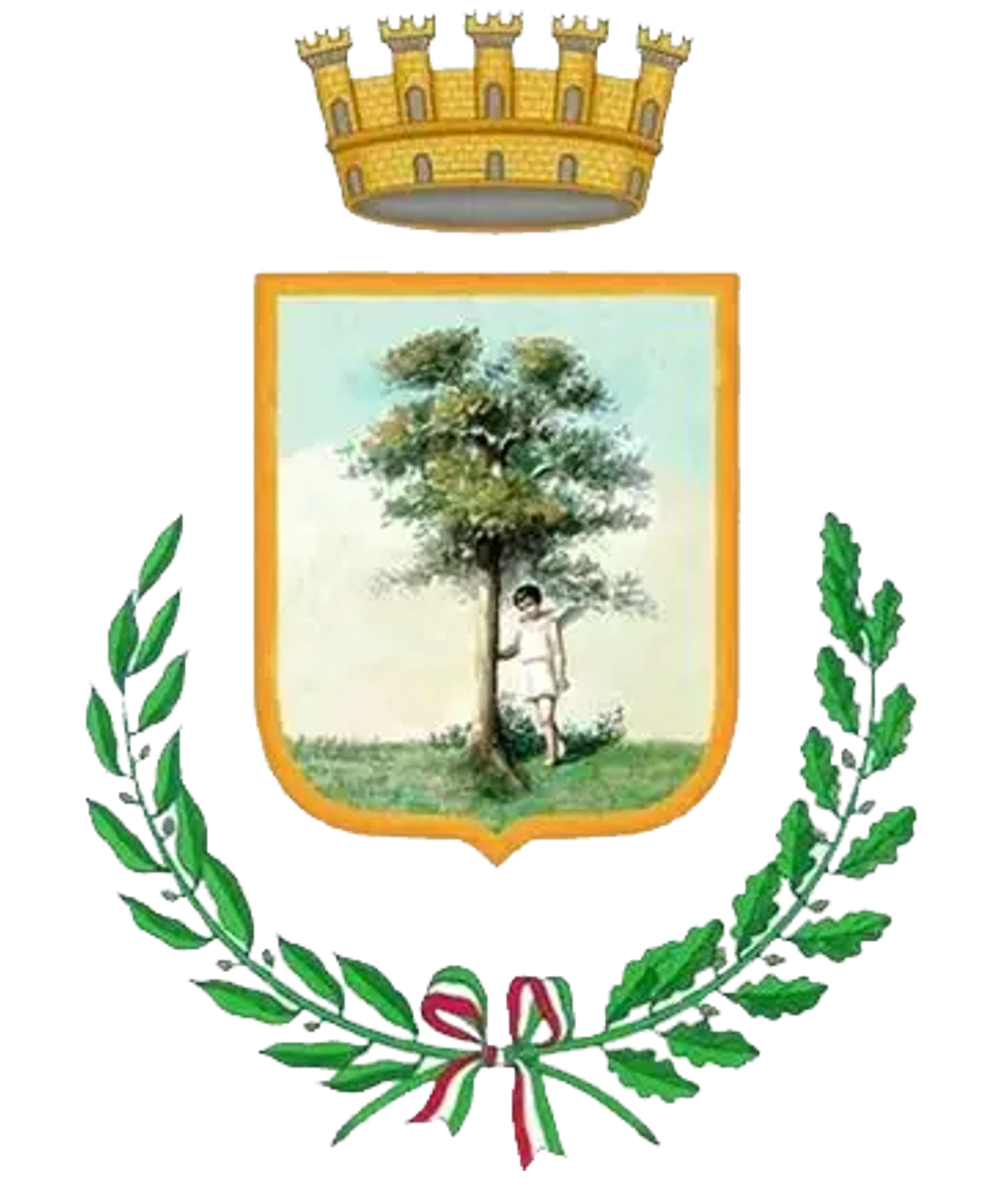 Logo Comune di MARANO DI NAPOLI