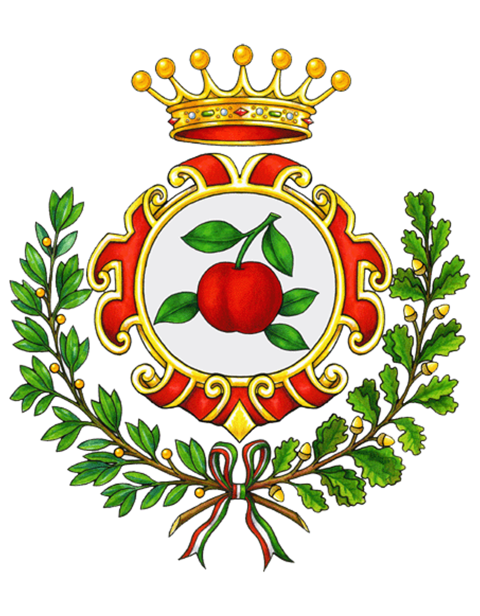 Logo Comune di POMIGLIANO D ARCO