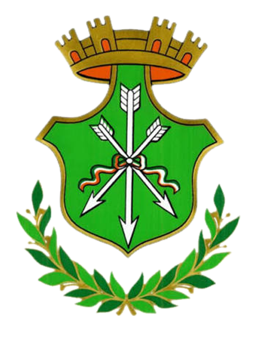 Logo Comune di SAVIANO