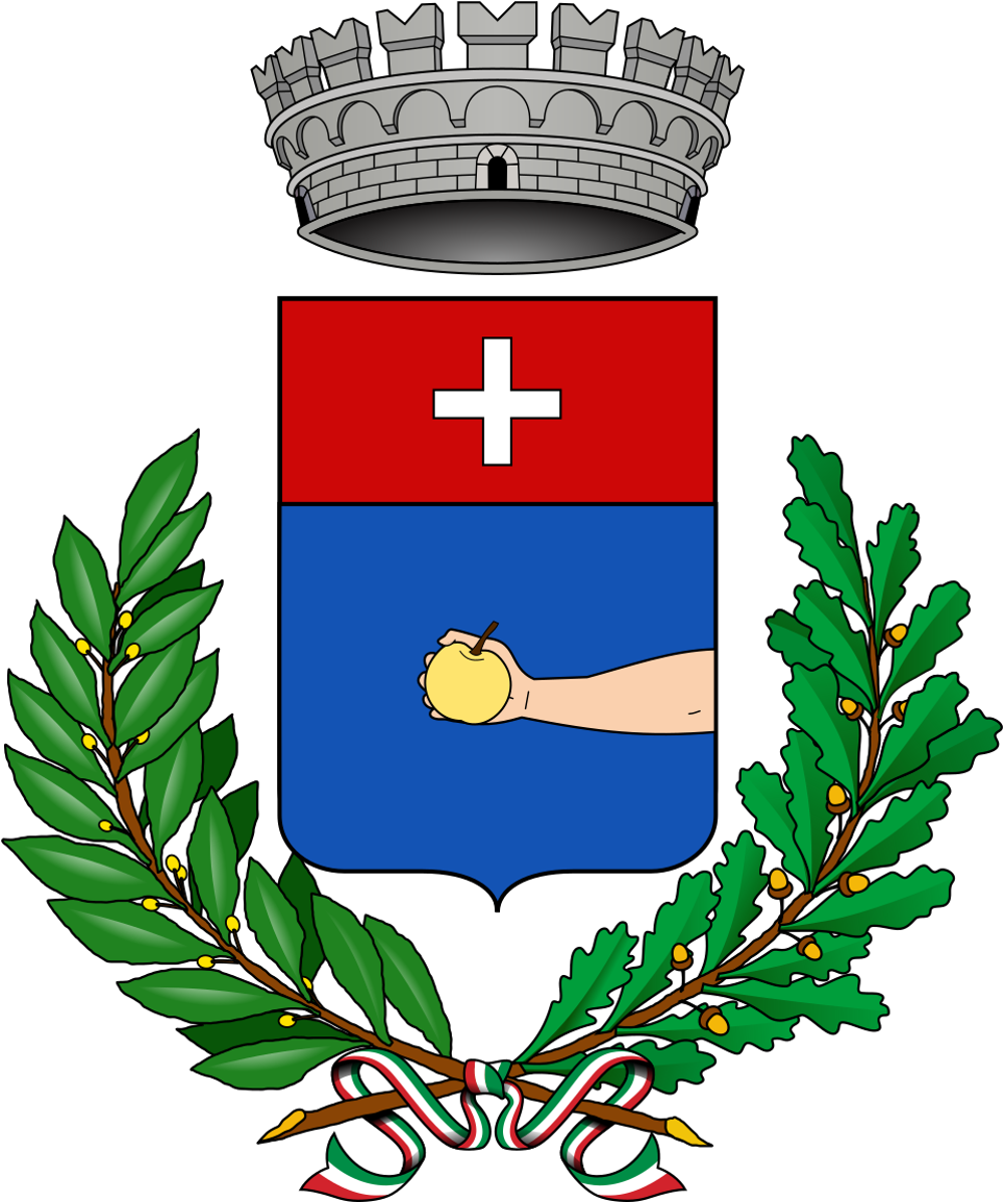 Logo Comune di CICCIANO