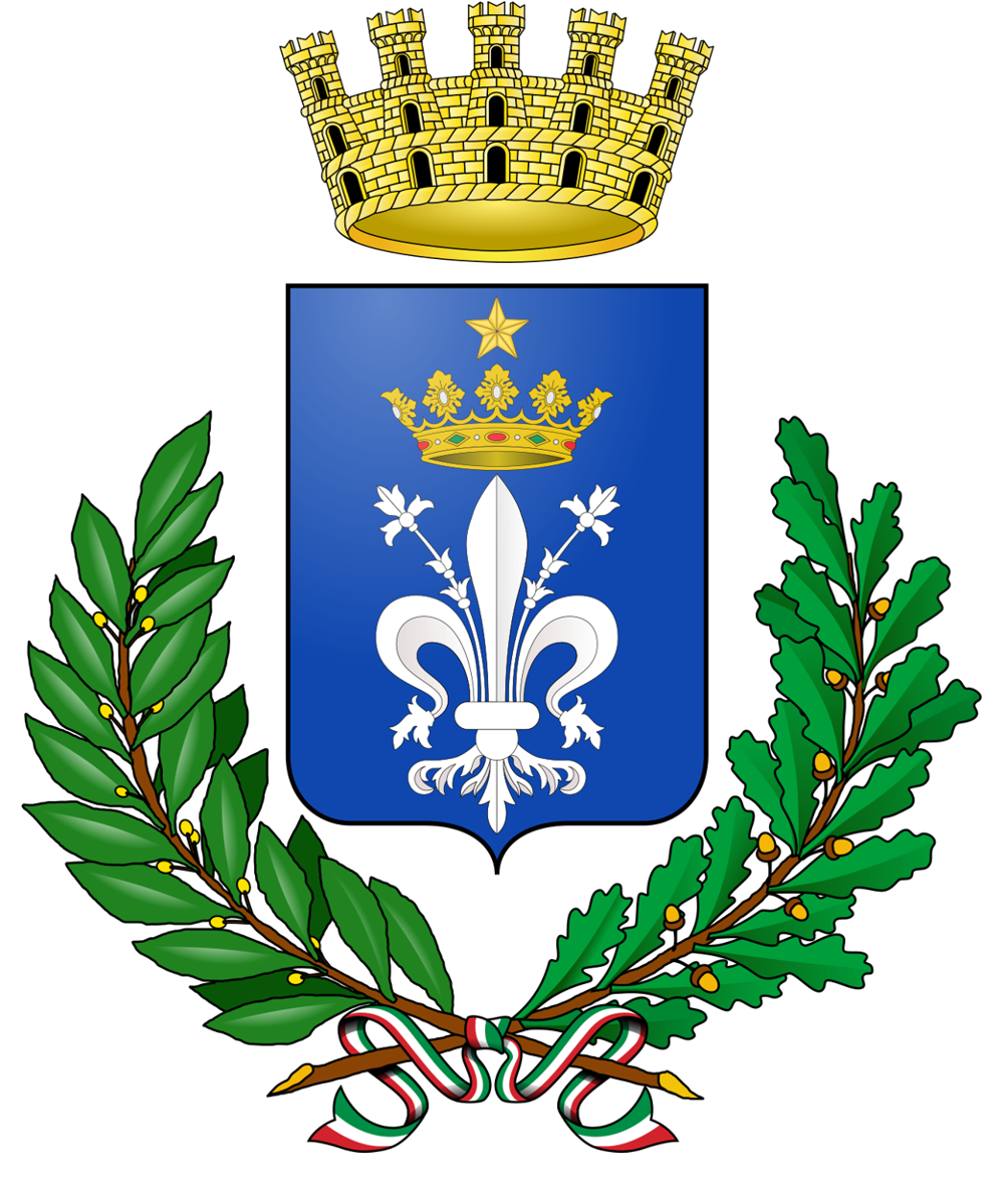 Logo Comune di ACERRA