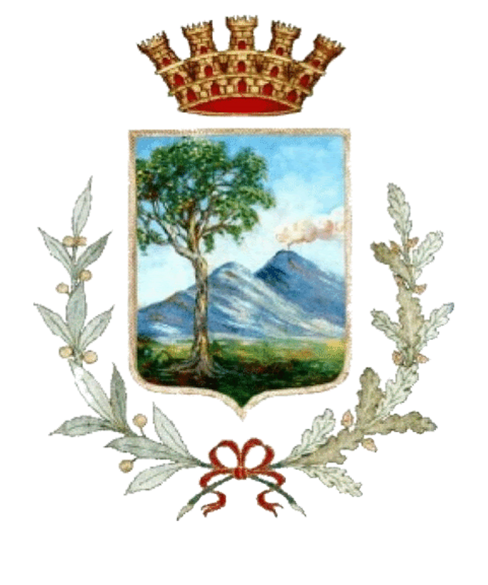 Logo Comune di CERCOLA