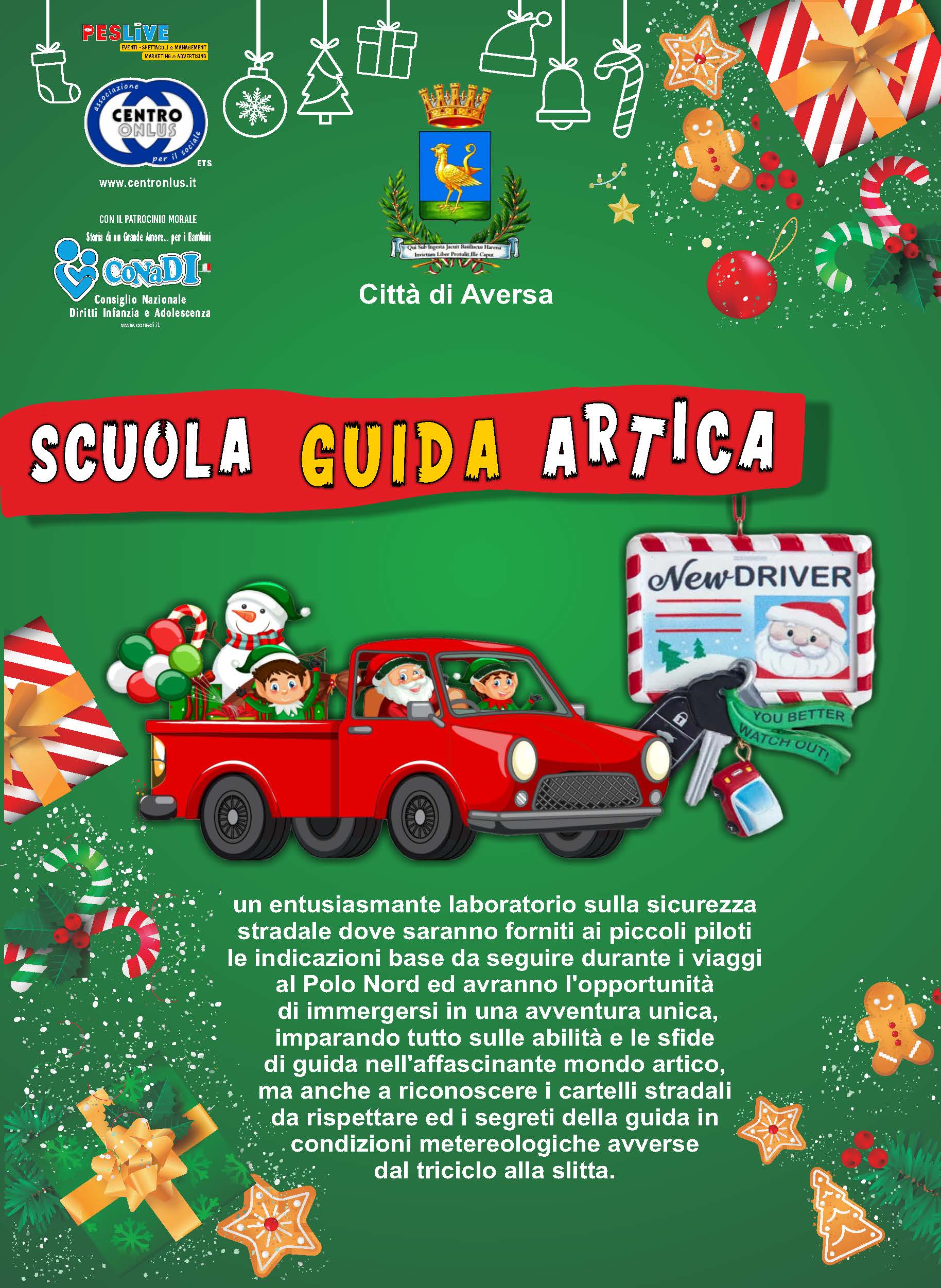 Scuola Guida Artica