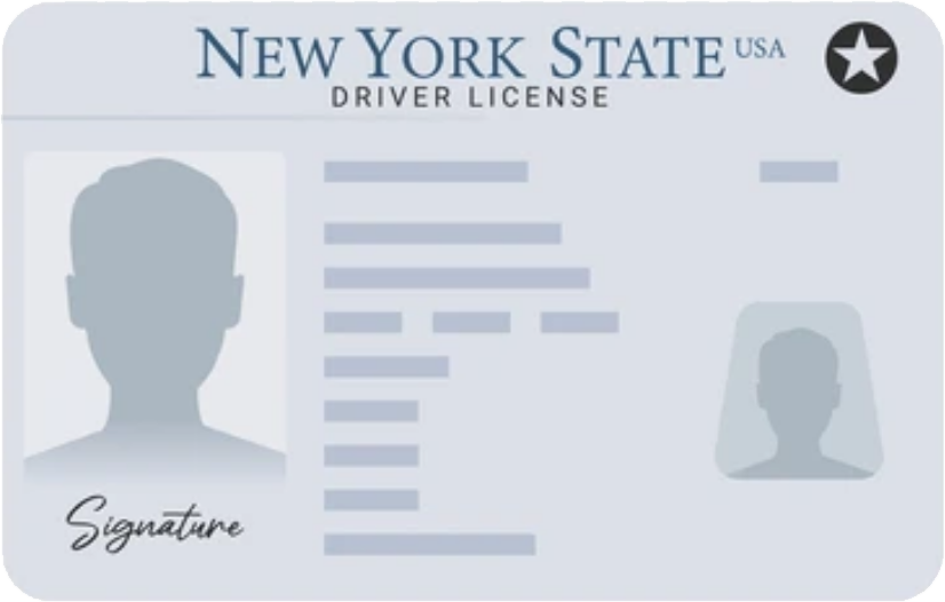 NY Driver License